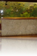 The Mirage Front Desk Aquarium