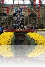 Bellagio Conservatory Fall