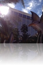 Flamingo Hotel from the Pool