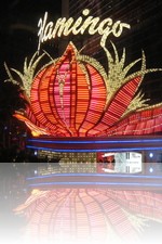 Flamingo Las Vegas at Night