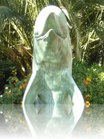 The Mirage Dolphin