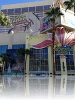 Flamingo Las Vegas and Margaritaville
