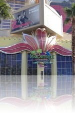 Flamingo Las Vegas and Margaritaville Casino