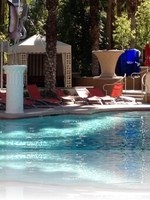 Flamingo Pool Vegas