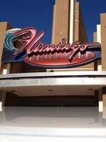 Flamingo Pool Beach Club Vegas