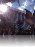 Flamingo Hotel from the Pool