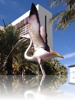 Flamingo Hotel from the Pool