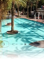 Flamingo Pool Vegas
