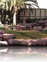 Flamingo Wildlife Habitat Vegas