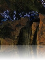 Flamingo Wildlife Habitat Vegas Koi Pond