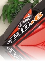 Dodge Charger Road runner