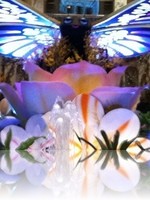 Palazzo Lobby during Spring time