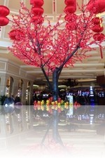 Bellagio During Chinese New Year